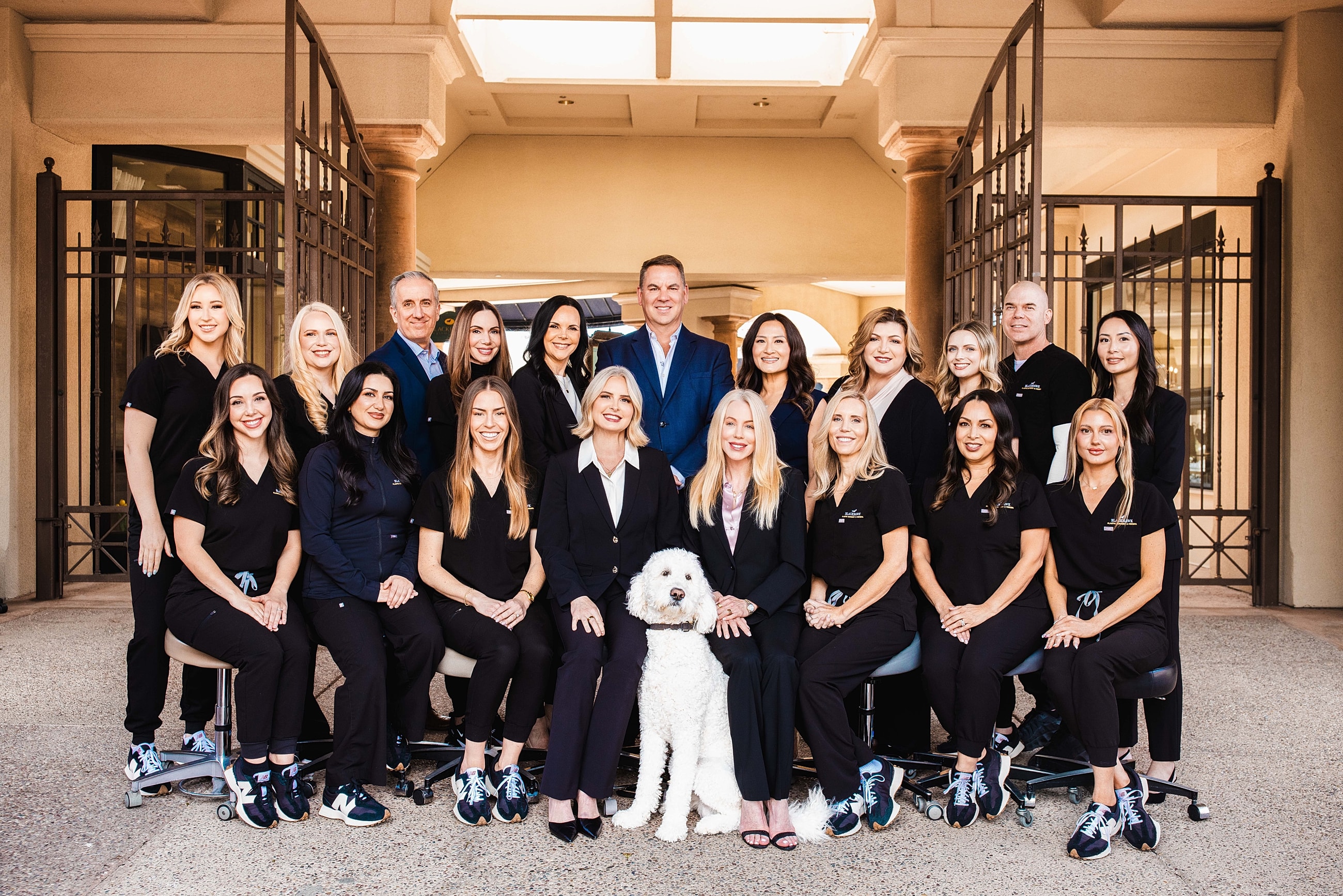 Group photo of a professional team and dog.
