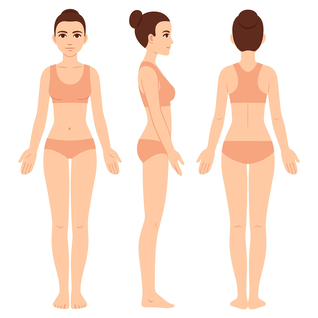 Illustration of a Woman